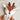 zoom sur doudou plat faon